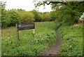 Community woodland beside Burleigh Castle