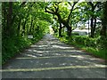 Country road entering The Rhos