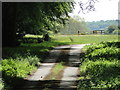 Military roadway through Deal Wood