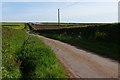 Country road near Hasguard