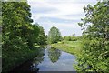 The Roding from Passinford Bridge