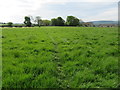 Path near Leyburn