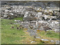 NM5237 : Greylag Geese in Scarisdale by M J Richardson