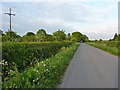 Towards Sunningdale and Rodington Heath