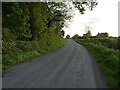 Evening light on a lane east of Haughmond Hill