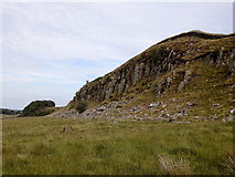 NY7868 : Whin Sill near Housesteads by Rudi Winter
