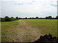 Cut silage field near The Elms