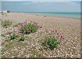 Lancing Beach