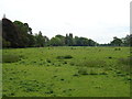 Grazing near Trevalyn Hall