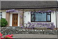 Newton Stewart in Bloom 4