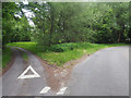 Country traffic island with trees