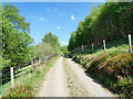 Dirt road above Corryhabbie Burn