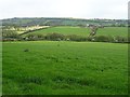 Farmland near Rhos