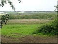 Farmland near Wiston