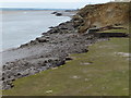 SJ2374 : Erosion along the shoreline of the Dee Estuary by Mat Fascione