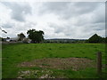 Grazing off Main Road, Gwersyllt