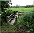 Wooden bridge over a rhine near Featherbed Lane, Oldbury-on-Severn