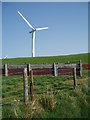 SH8459 : Sheep Pen And Wind Turbine Near Foelasfechan by Chris Andrews