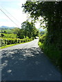 Down the lane towards Llanrhaeadr-ym-Mochnant