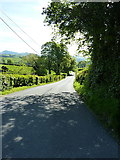 SJ1126 : Down the lane towards Llanrhaeadr-ym-Mochnant by Richard Law
