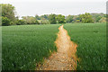 Path near Church Hill