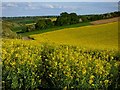SU2275 : Farmland, Aldbourne by Andrew Smith