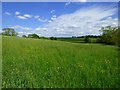 Farmland, Pyrton