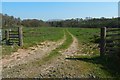 Track crossing a field