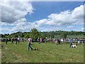 Harting Festivities Dog Show- we