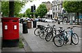 A cluttered pavement, St Andrews