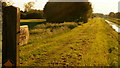 Path along the Buck Beck