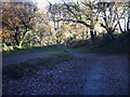 Porlock Toll Road hairpin bend