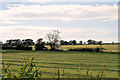 Farmland West of the A6 near Cabus