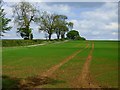 Farmland, Middleton Cheney