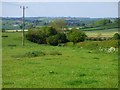 Pasture, Thorpe Mandeville