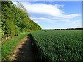 Farmland, Neasham