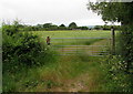 Seven-bar field gate, Westmarsh Lane, Oldbury-on-Severn