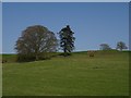 Above Liftingstane