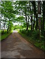 Public footpath to Mount Segg, near Stone, Worcs