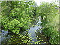 A branch off the Grand Union Canal