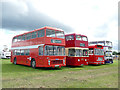 Old buses at the Smallwood Rally