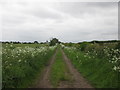 Elmton Lane towards Bolsover