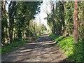 Byway towards former Elmley Ferry