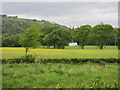 Field near Glendoick