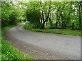 Country road passing Thrustle Mill