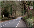 Roadside mirror near Glangrwyney Court, Powys