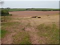 Farmland north of Rawston