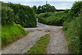 Junction of tracks on Creech Hill Lane