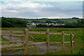 A path leading to Tarka Ridge, a new housing development in West Yelland