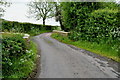 Bridge and road, Raveagh